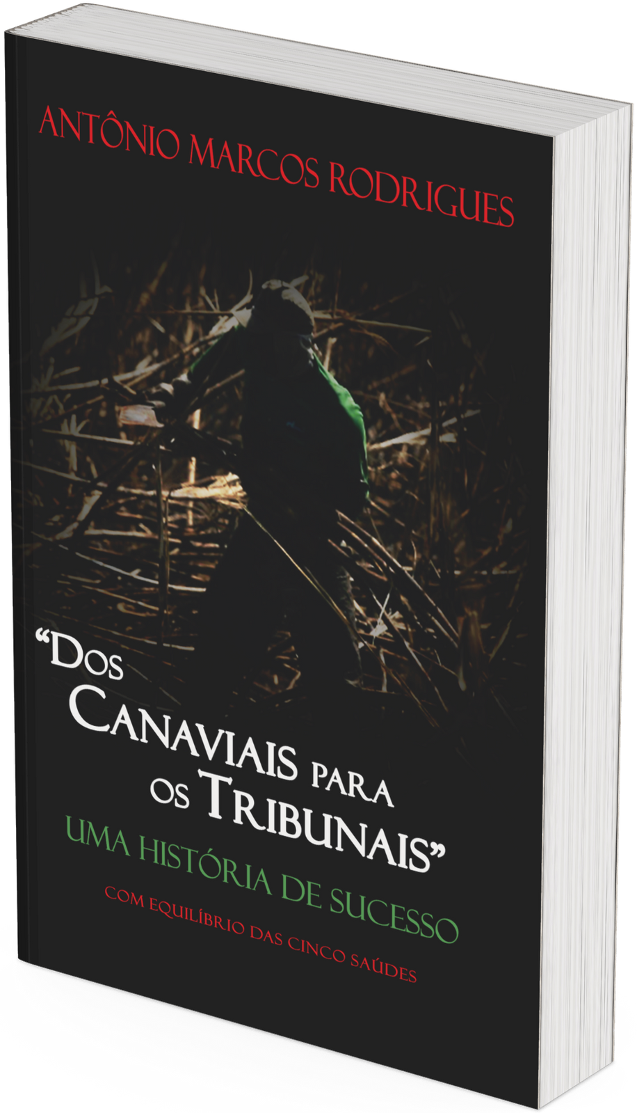 Dos Canaviais para os Tribunais
